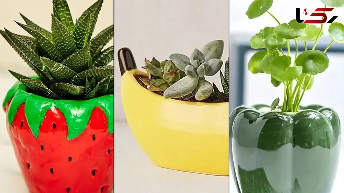 گلدان طرح میوه‌ ای خاص و سفارشی برای منزل شما