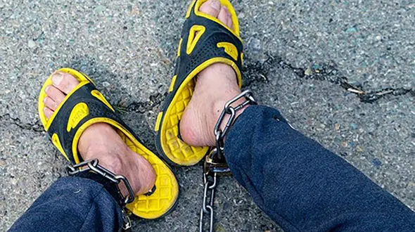 این 2 مرد بویی از انسانیت نبرده بودند / کتک زدن 2 سگ جلوی دوربین در نهاوند 