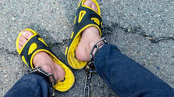 این 2 مرد بویی از انسانیت نبرده بودند / کتک زدن 2 سگ جلوی دوربین در نهاوند 
