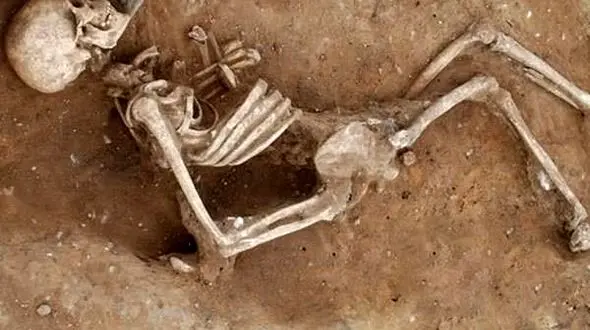 تهران 7 هزار ساله است/ کشف سفال در بازار صندوق‌سازان+تصاویر