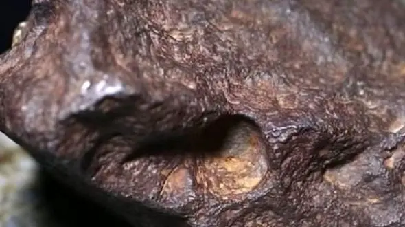 شهاب سنگ ۱۰۰ هزار دلاری در دستان یک مرد