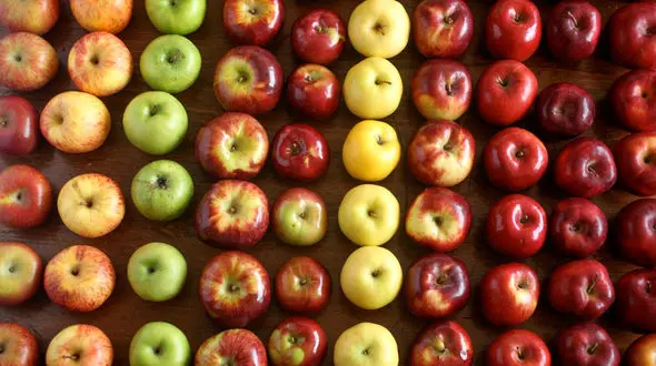 با این خوراکی ها سردی بدن تان را از بین ببرید 