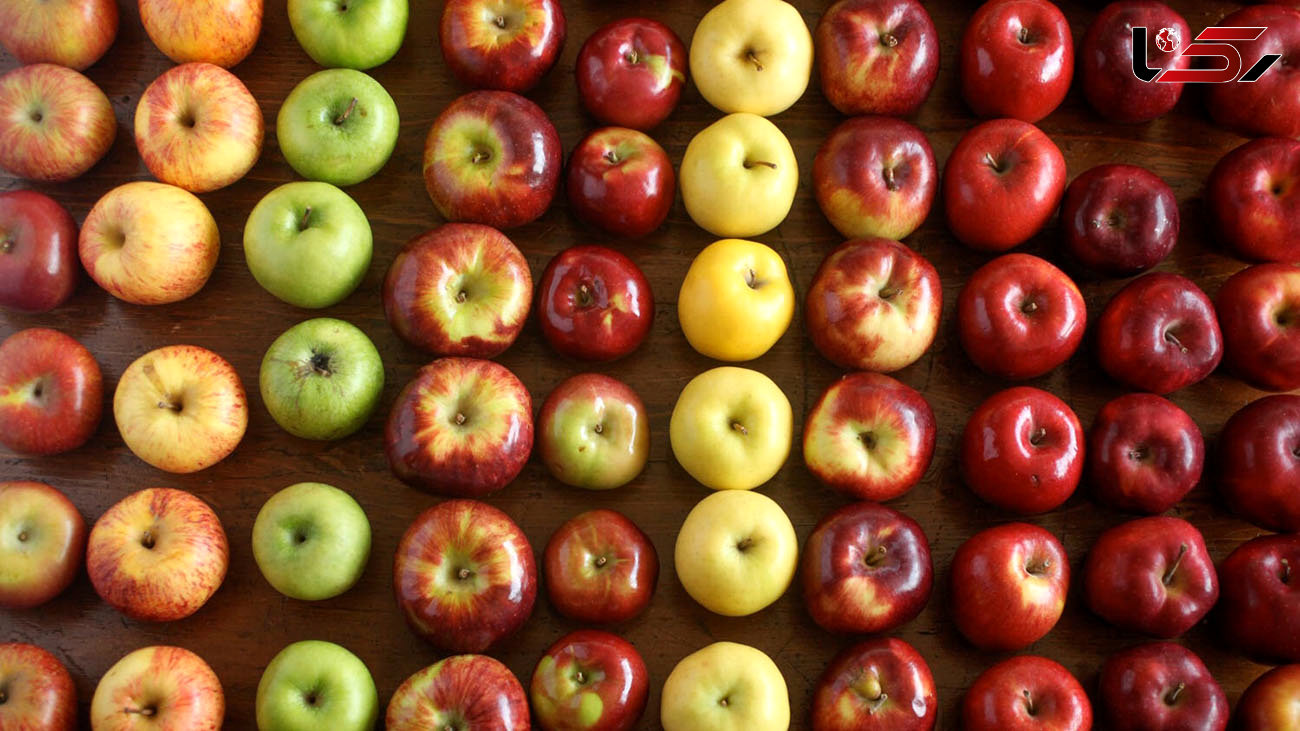  میوه های موثر در کاهش وزن کدامند؟