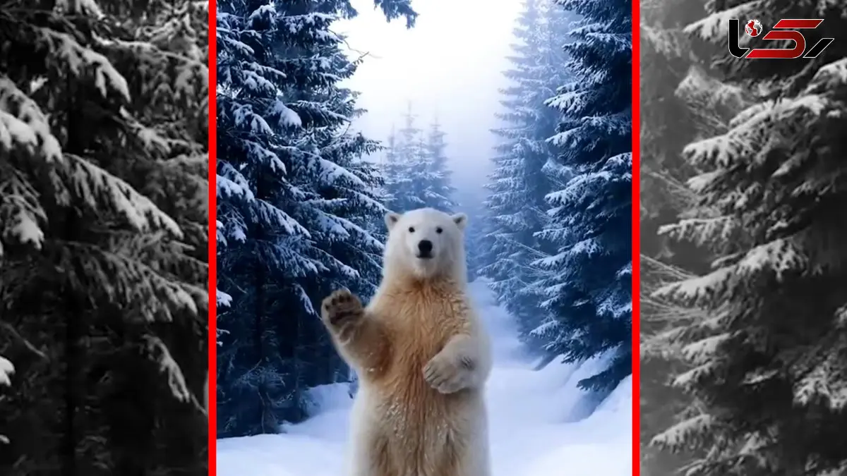 فیلم آموزش ترکیب تصاویر در فوتوشاپ