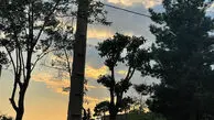 فال و طالع بینی امروز یکم مرداد 1405