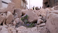 3 درس هلال‌احمر از زلزله کرمانشاه