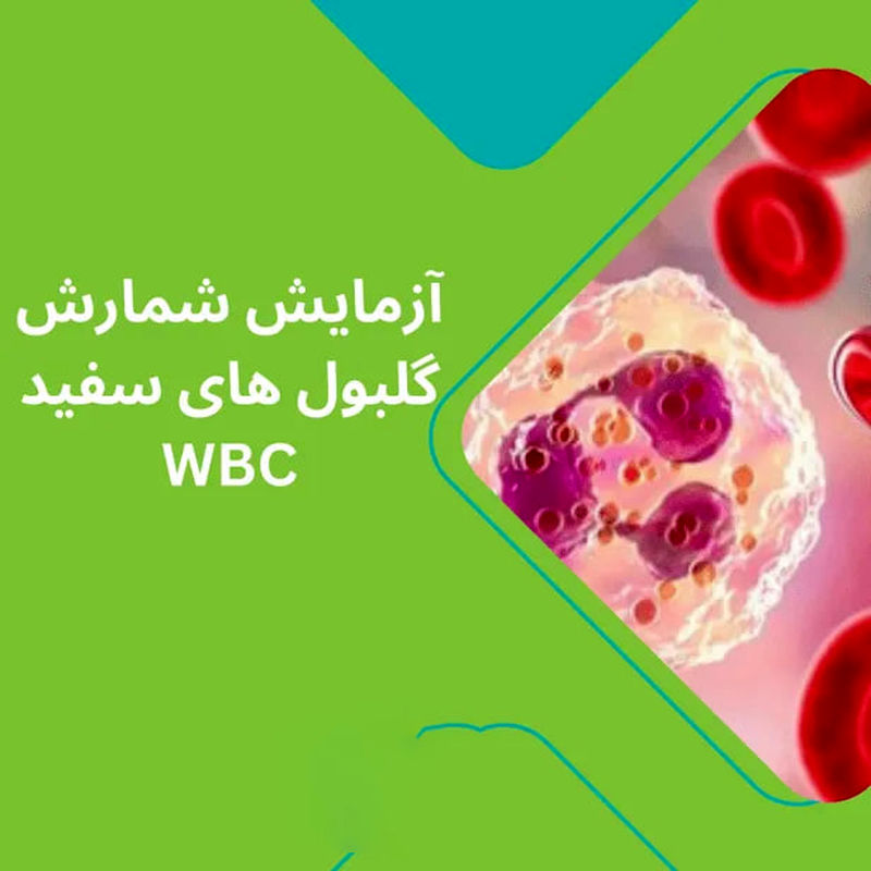 wbc در آزمایش خون