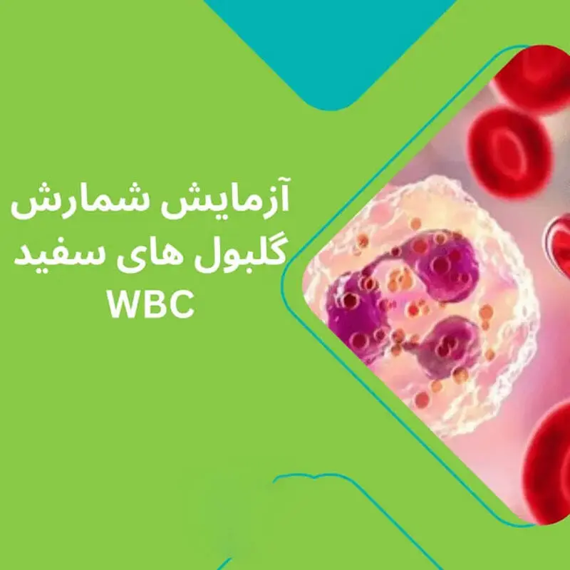 wbc در آزمایش خون