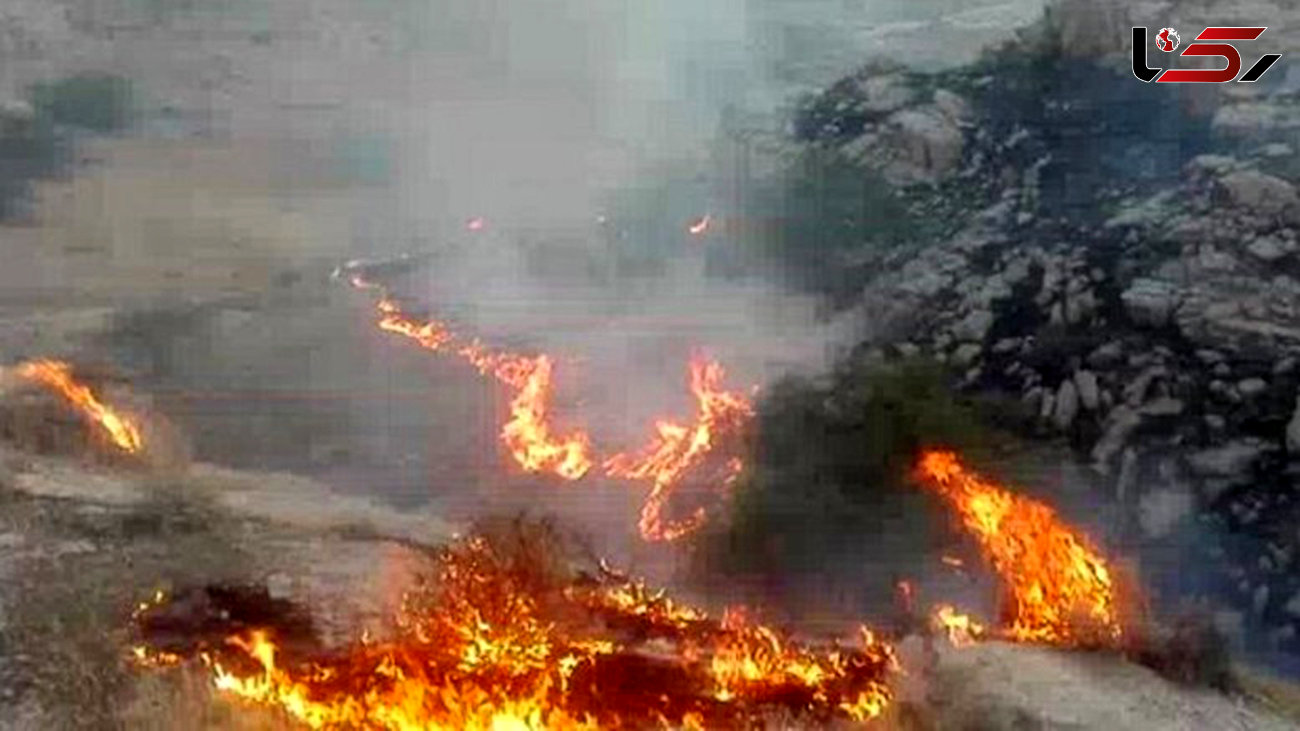 آتش سوزی در ارتفاعات منطقه چاه نفت در شهرستان جهرم فارس  +عکس و فیلم 