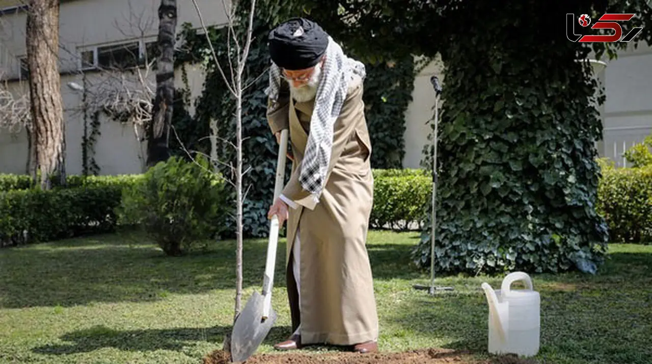 انتقاد جدی رهبر انقلاب از آسیب زدن به درختان با انگیزه احداث ساختمان