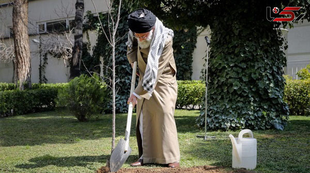 انتقاد جدی رهبر انقلاب از آسیب زدن به درختان با انگیزه احداث ساختمان