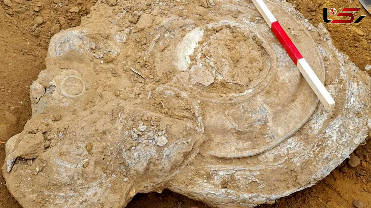 حیرت آورترین گنج ارزشمند 2 هزار ساله پیدا شد / این گنج دست چه کسی است؟!