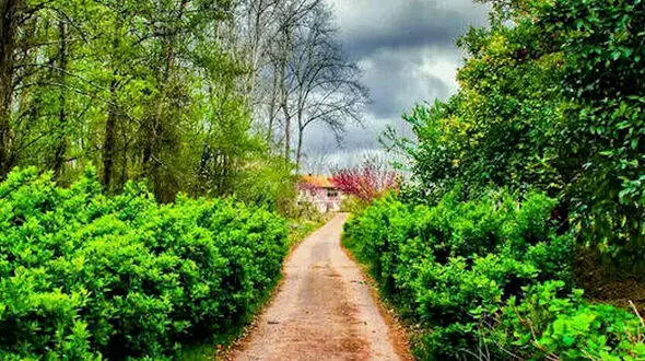 از باران رودسر گیلان تا راهنمای پارک هواپیما