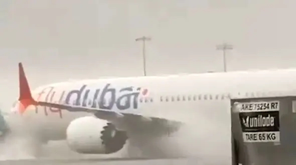 از طوفان شدید در دبی تا حمله زنبور ها 