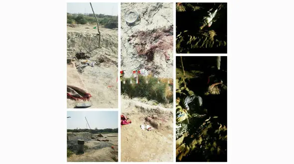 قتل 5 مرد در مزرعه مرزی هیرمند با شلیک گلوله + عکس