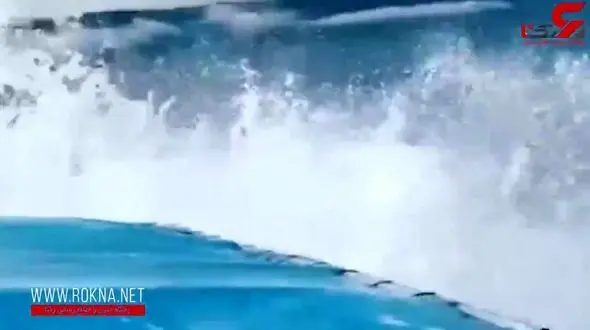 میهمان ناخوانده‌ای که گردشگران را شوکه کرد! +فیلم