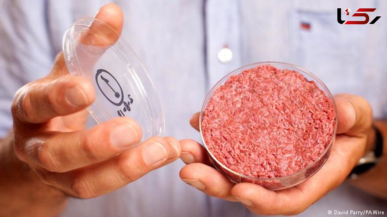 گوشت مصنوعی در راه بازارهای آمریکا