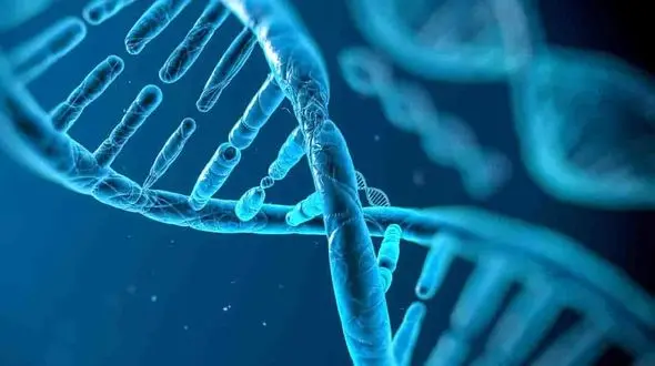 راه های مدیریت پی‌ام‌اس