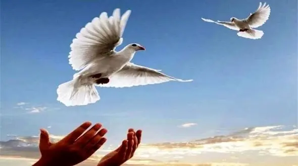 2 اعدامی به حرمت پرچم حرم امام رضا (ع) و سردار سلیمانی بخشیده شدند / در گلستان رخ داد