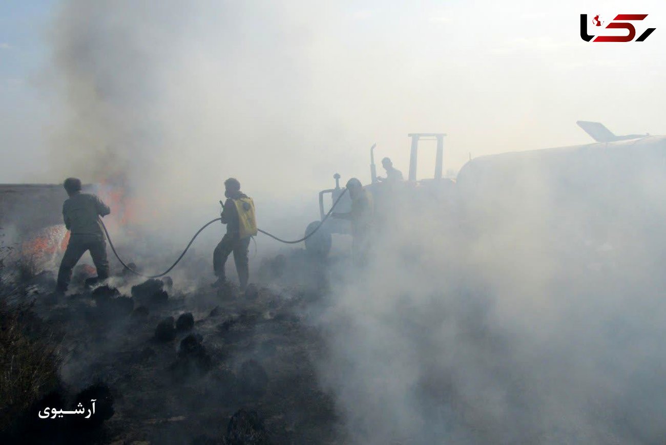 وقوع 11 فقره آتش سوزی در مناطق تحت مدیریت محیط زیست مازندران از اول سال تاکنون