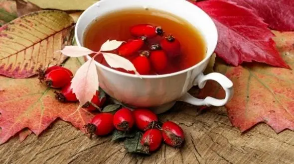 سنگ کلیه را با دمنوش ها نابود کنید