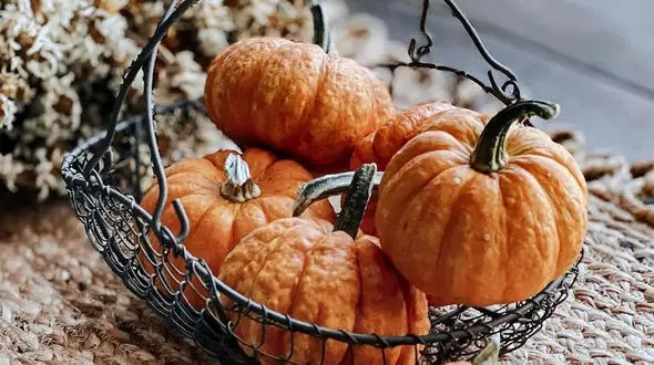 فال ابجد محشر 21 مهر 1402 / فیلم