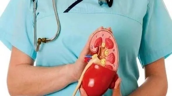 سم زدایی کلیه ها با ساده ترین روش ها