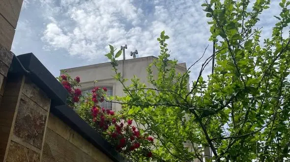 فال ابجد واقعی 17 اردیبهشت + فیلم