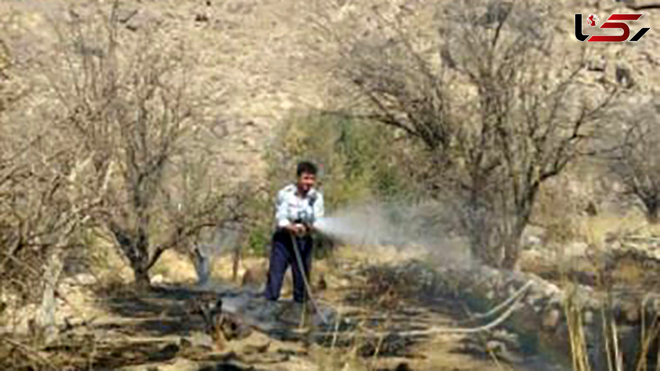 آتش سوزی یک باغ در بنادک سادات یزد 