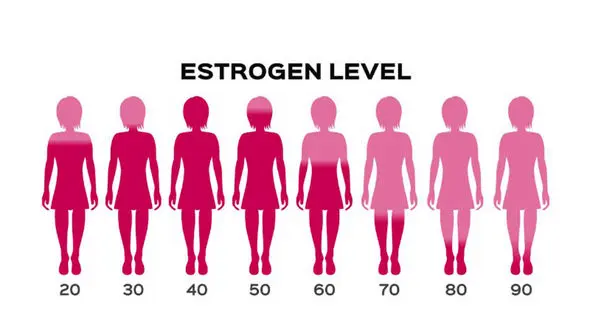 استروژن چیست؟