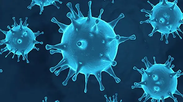 کرونا در بروجن رکورد زد