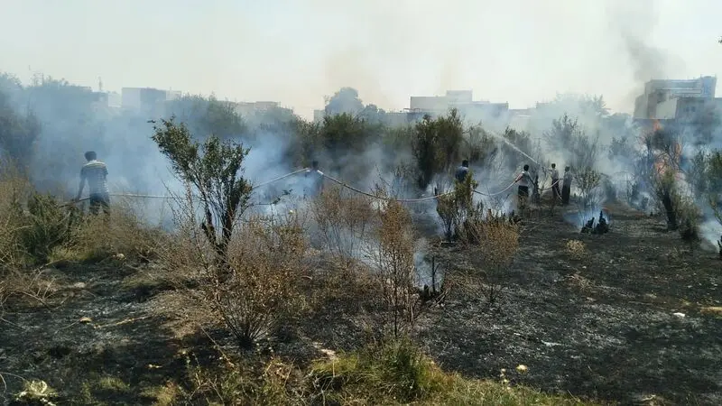 آتش سوزی در باغات باغملک