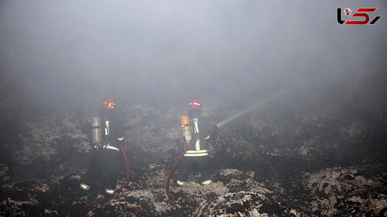  آتش‌سوزی در تالاب‌های پلدختر مهار شد 