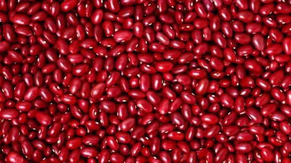 چگونه با 5 لوبیای رنگی بدن سالم‌ تری داشته باشیم؟