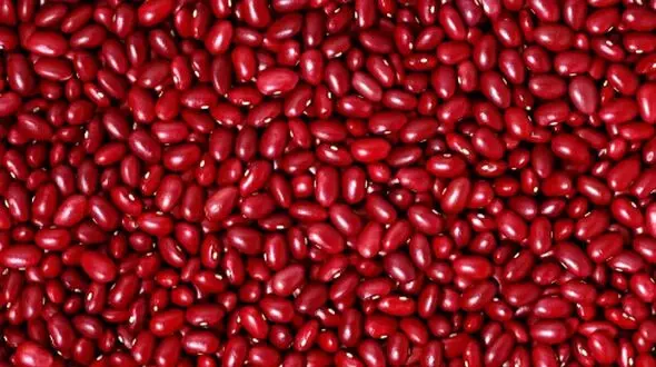 چگونه با 5 لوبیای رنگی بدن سالم‌ تری داشته باشیم؟