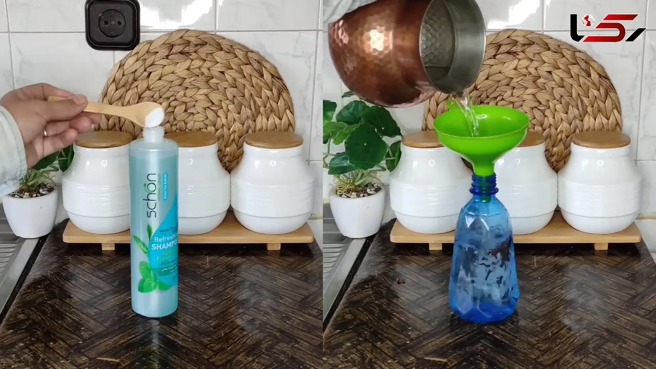 راهکار جلوگیری از شوره سر