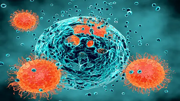 ریز و درشت انواع سرطان 