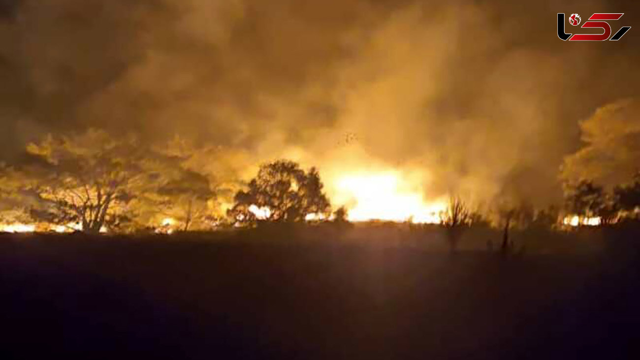 آتش به ۱۵ هکتار از مراتع و درختان پارک ملی گلستان خسارت زد