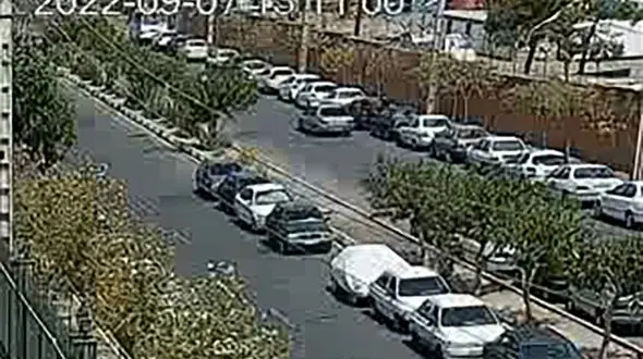 فیلم حمله با تبر دزدان به 2 مرد که از صحنه سرقت آنها را فیلمبرداری می کردند / در تهران رخ داد