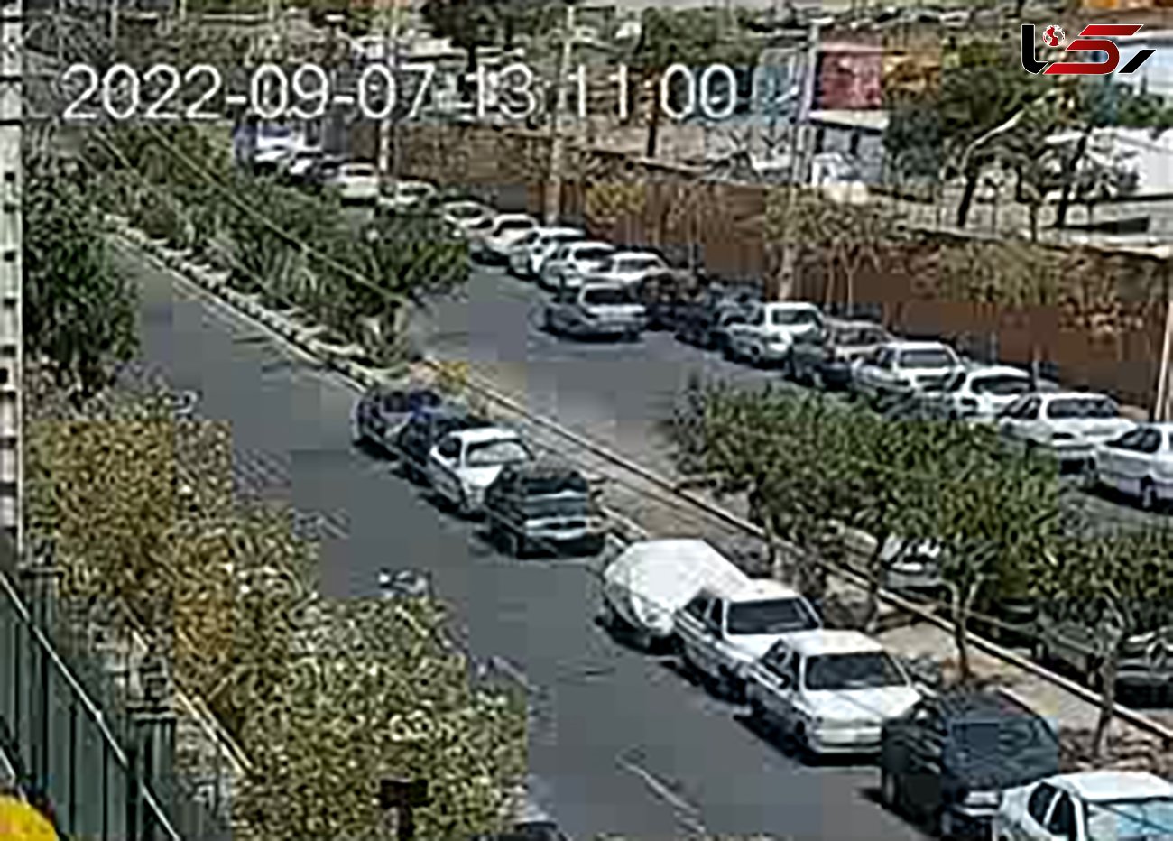 فیلم حمله با تبر دزدان به 2 مرد که از صحنه سرقت آنها را فیلمبرداری می کردند / در تهران رخ داد