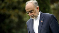 صالحی: امروز بازرسان آژانس وارد ایران می‌شوند