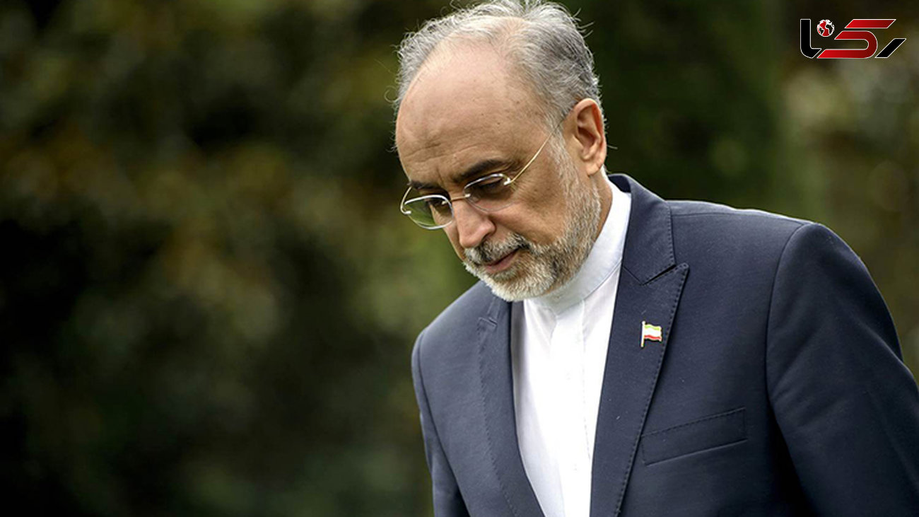 صالحی: امروز بازرسان آژانس وارد ایران می‌شوند