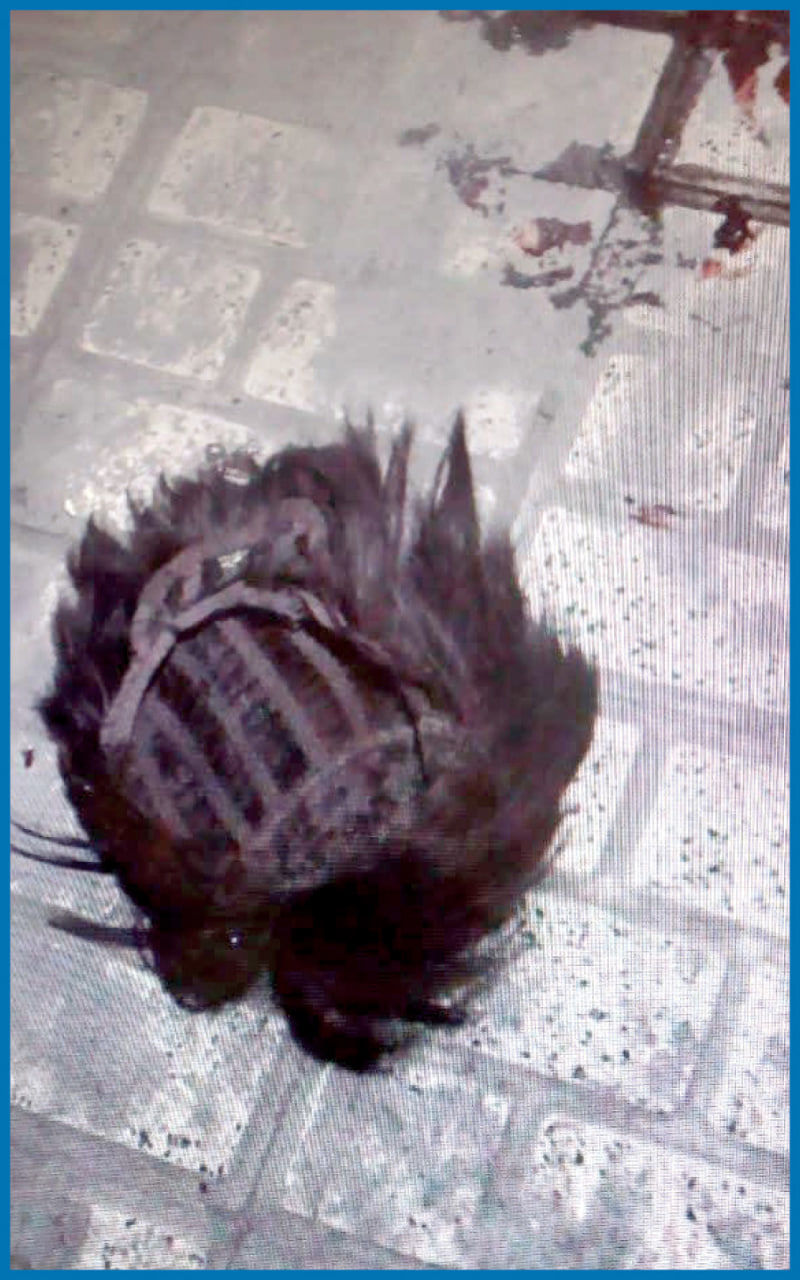 حسین کنگی
