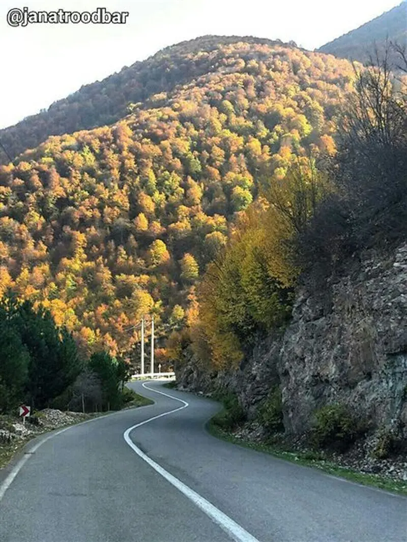جنگل دالخانی