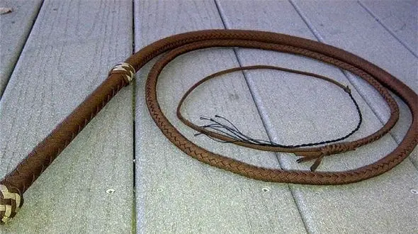 اجرای حکم شلاق مرد قزوینی در ملاء عام / صبح امروز 