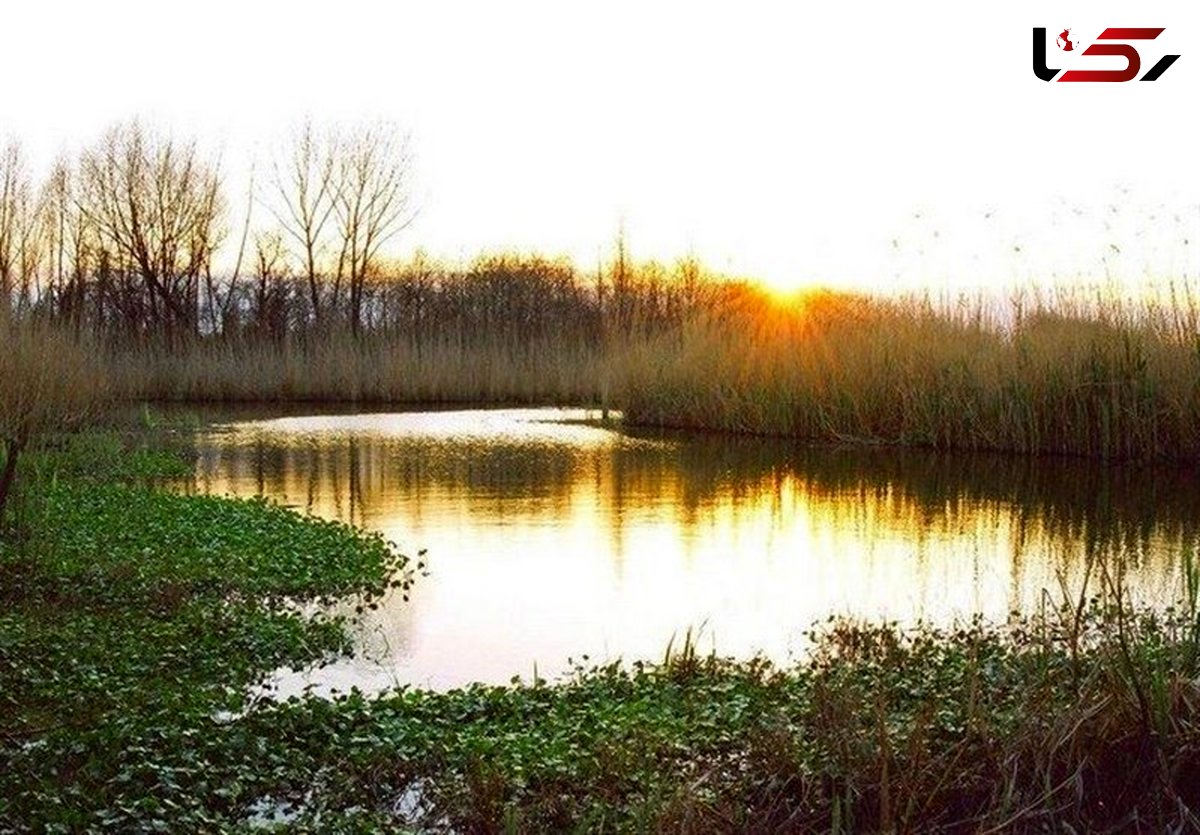 دستگیری متخلف تجاوز به اراضی تالاب بین‌المللی گمیشان 