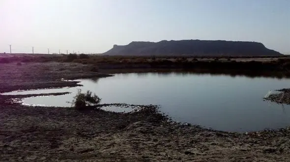 احتمالا چند روز آینده آب به هامون می رسد/ آب نباید صرف آلبالو و شفتالو شود/ دغدغه هدر رفت آب در ایران بیشتر یک جریان پوپولیستی است