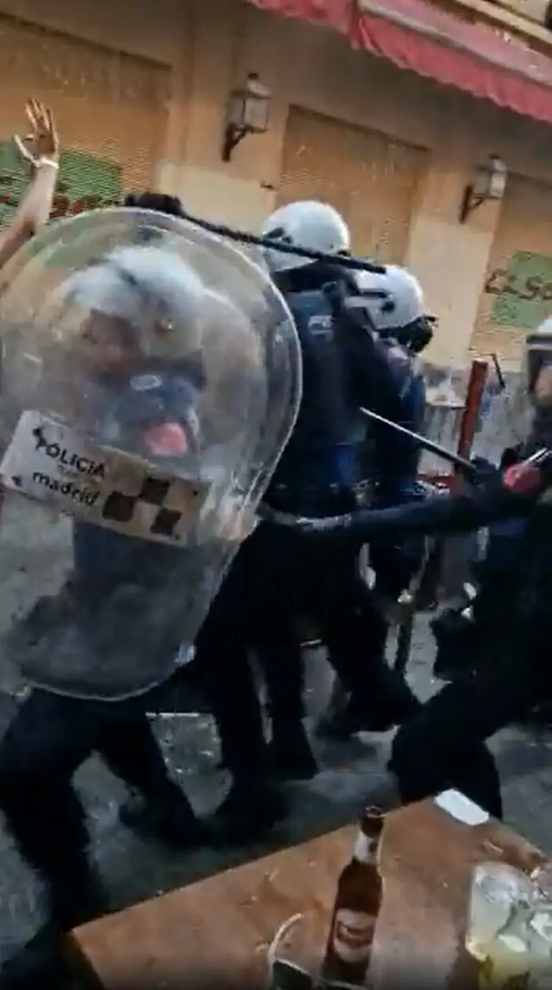 هواداران سلتیک