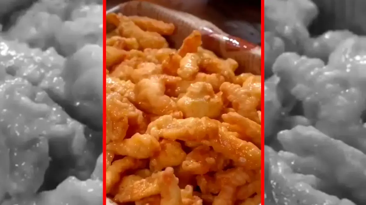 فیلم طرز تهیه مرغ سوخاری نواری خوشمزه