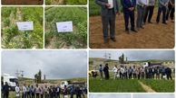 برگزاری چهارمین کاروان ترویج الگوی کشت محصولات زراعی در روستا آلاقیه بخش نظرکهریزی شهرستان هشترود 